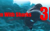 swim with sharks 3d