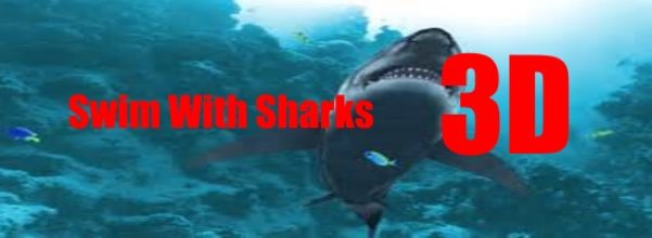 swim with sharks 3d