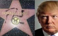 hollywood vs trump
