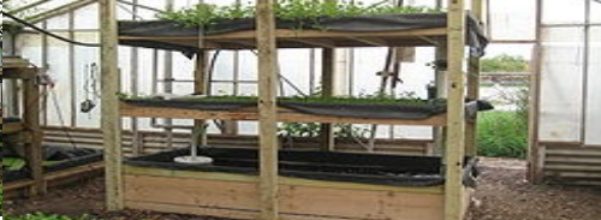 endless food aquaponic system