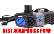 best aquaponics pump