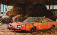 Where to buy Barn Finds